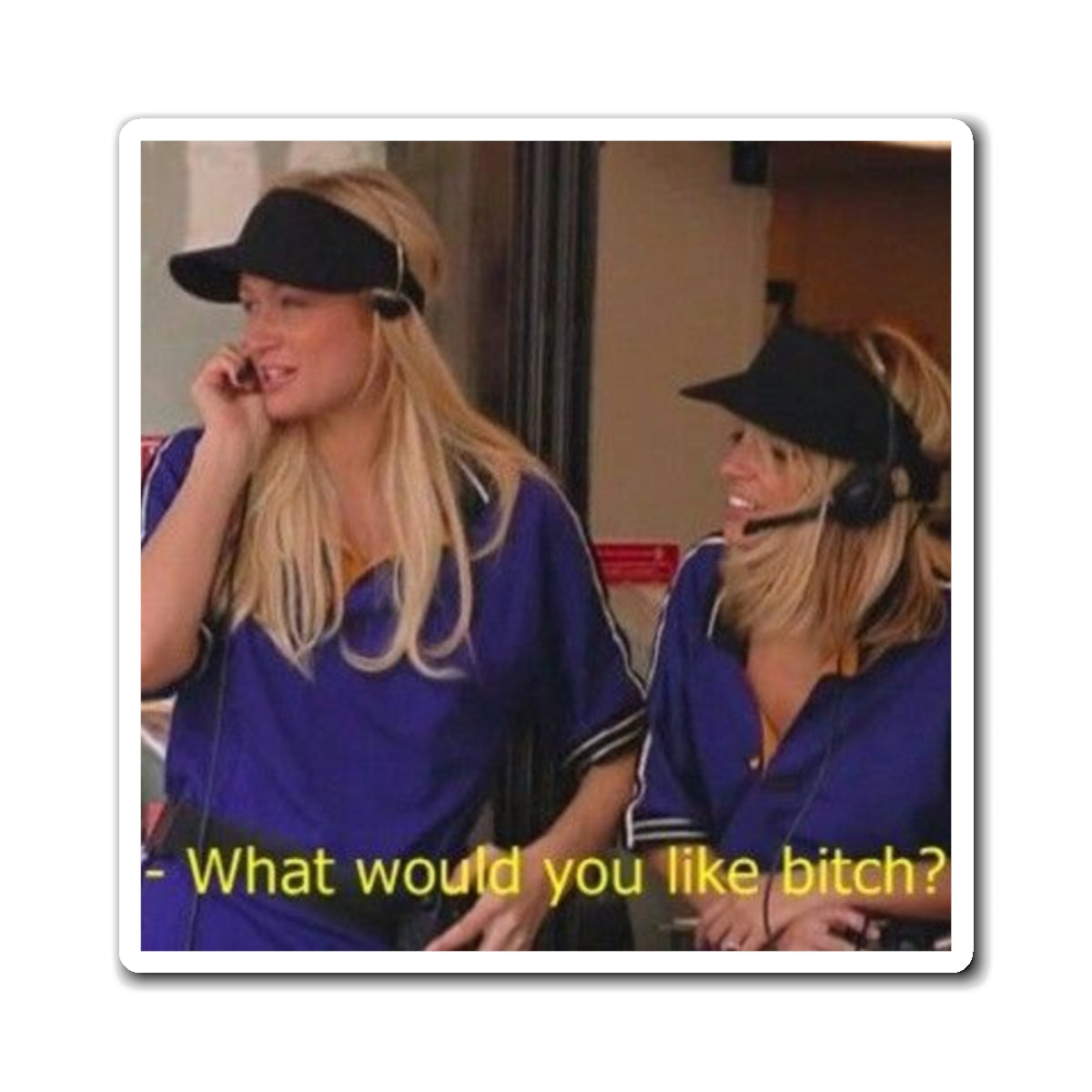 “What Would You Like, Bitch?” - Refrigerator Magnet