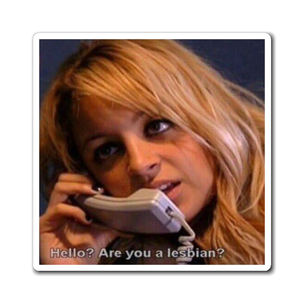 "Hello? Are You a Lesbian?" - Refrigerator Magnet